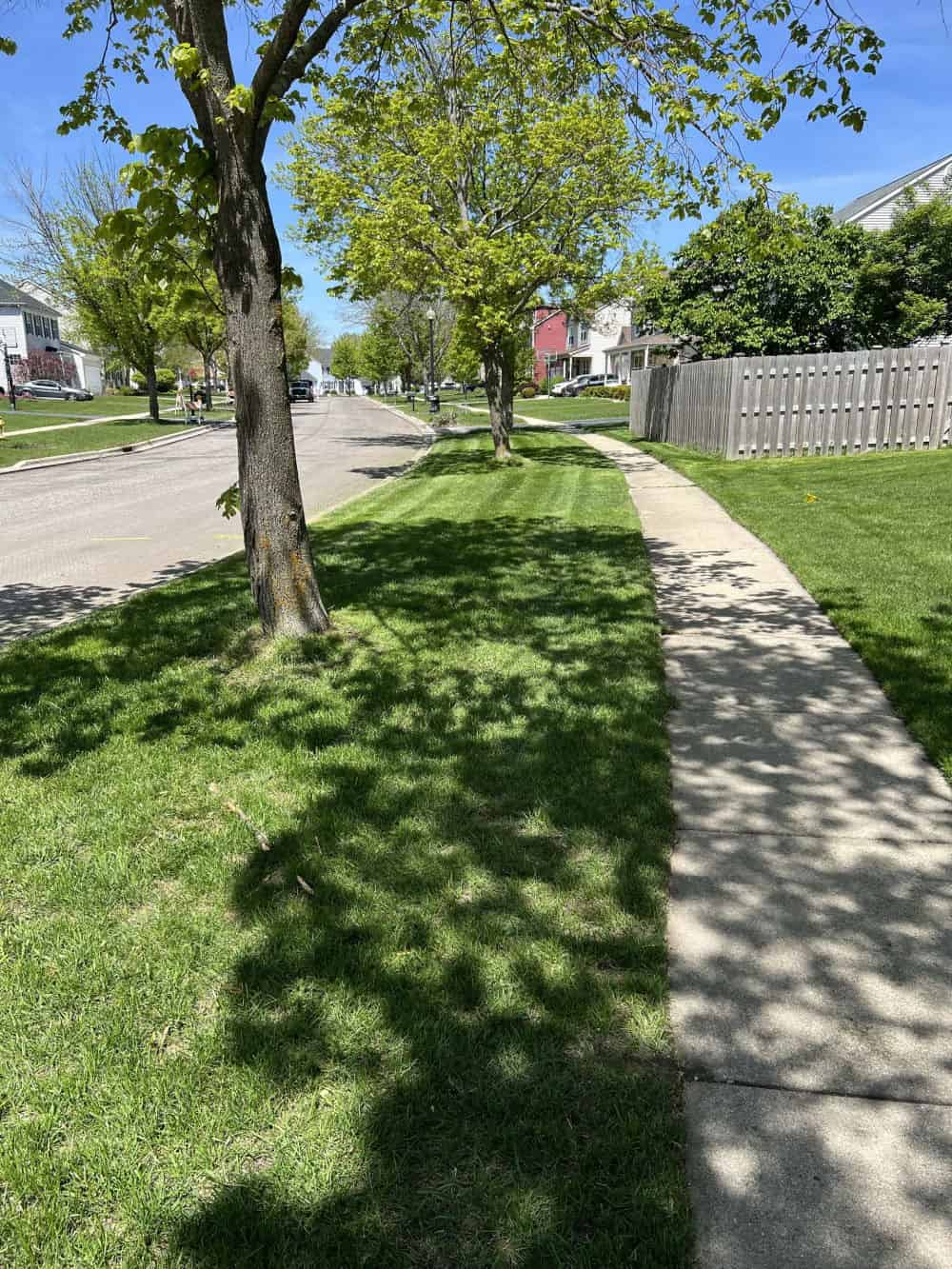 Landscape Services image
