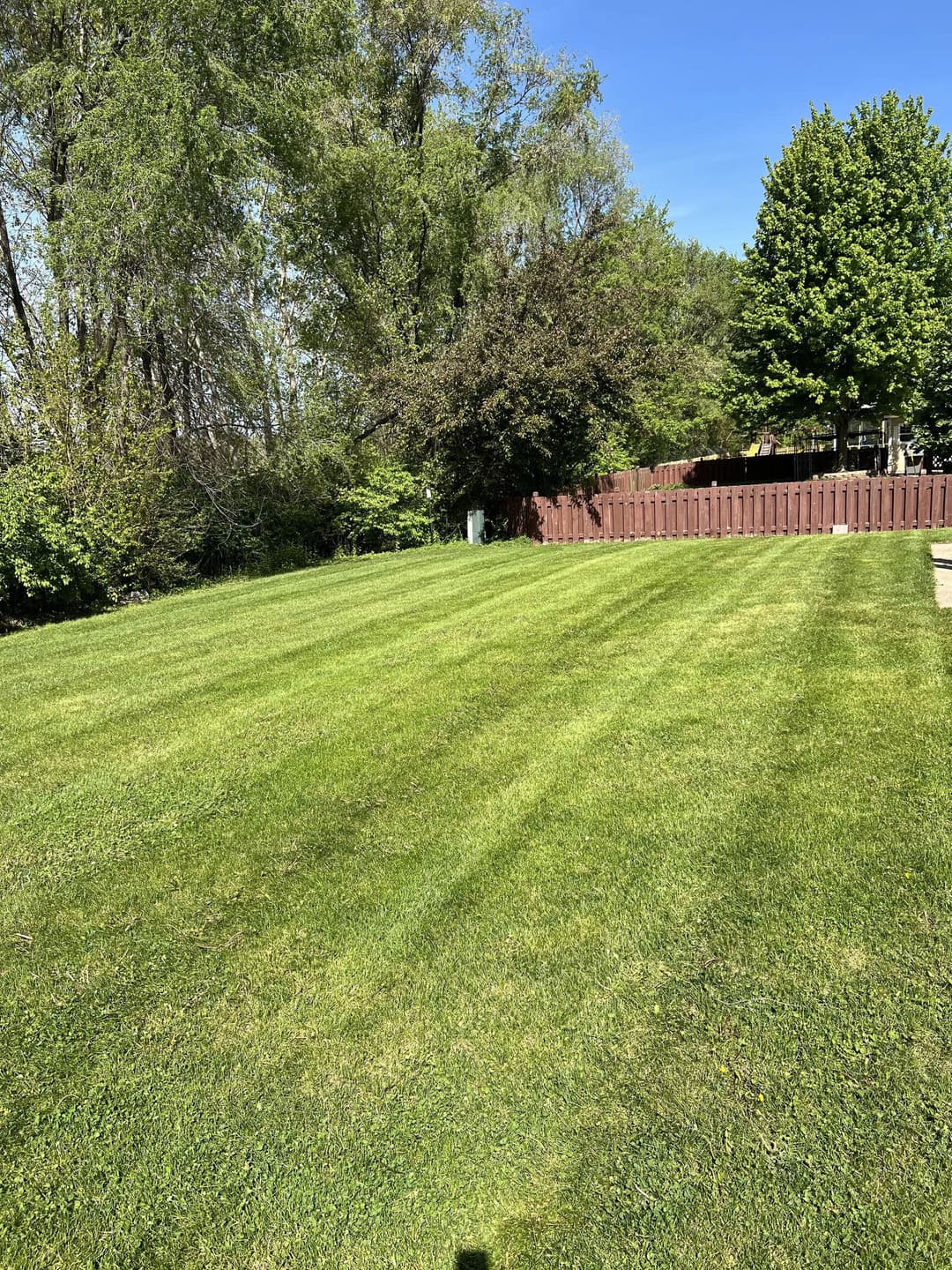Well-maintained green lawn with striped patterns, surrounded by trees and wooden fence.