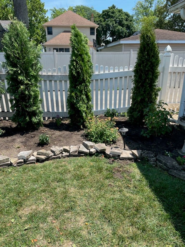 Revitalize Your Chicago Backyard Oasis image