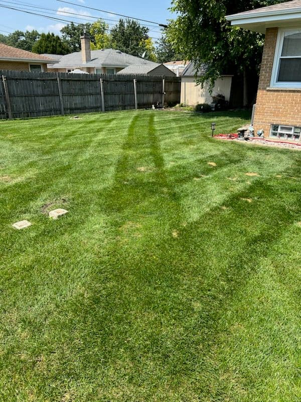 Consistent Lawn Care for a Vibrant Chicago Yard image