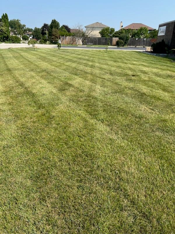 Transform Your Lawn with Precision Mowing image