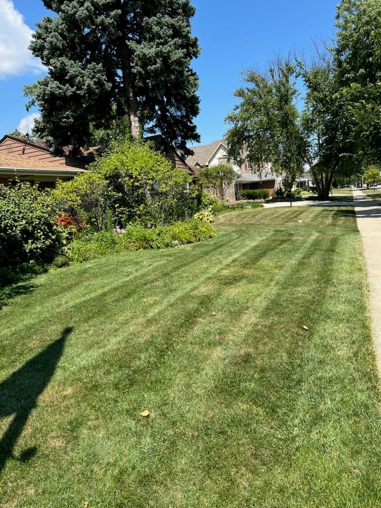 Weekly Lawn Care for a Pristine Yard image