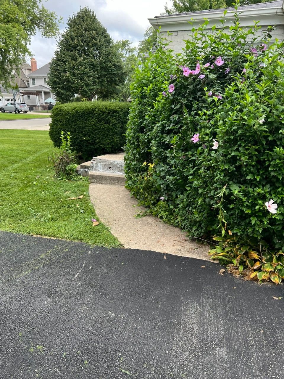 Project Transformative Landscaping Enhances Home Entryway image