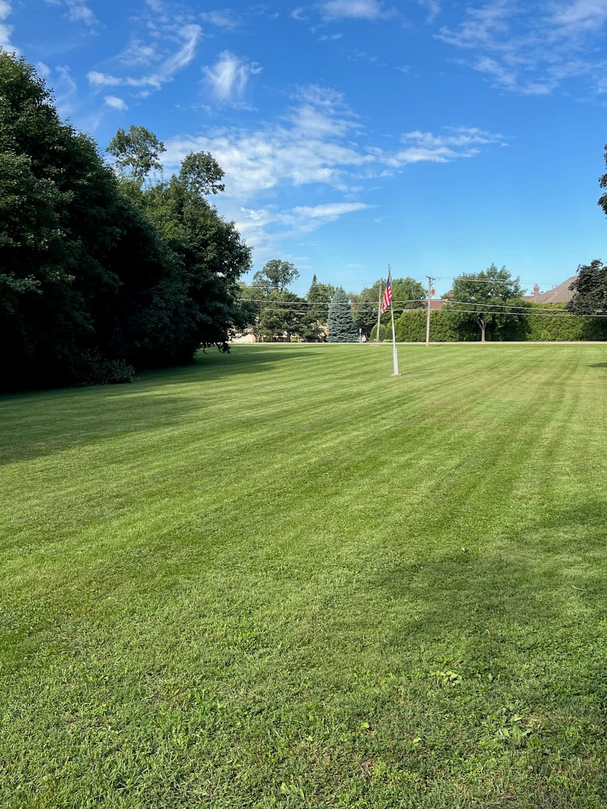 Project Flawless Lawn Makeover in Arlington Heights image