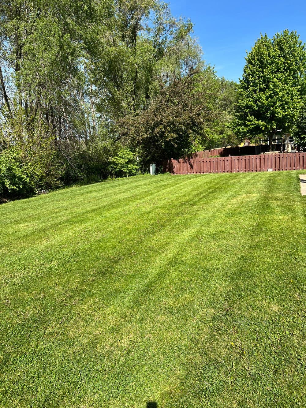 Lush, green lawn with neat stripes and surrounding trees on a sunny day.